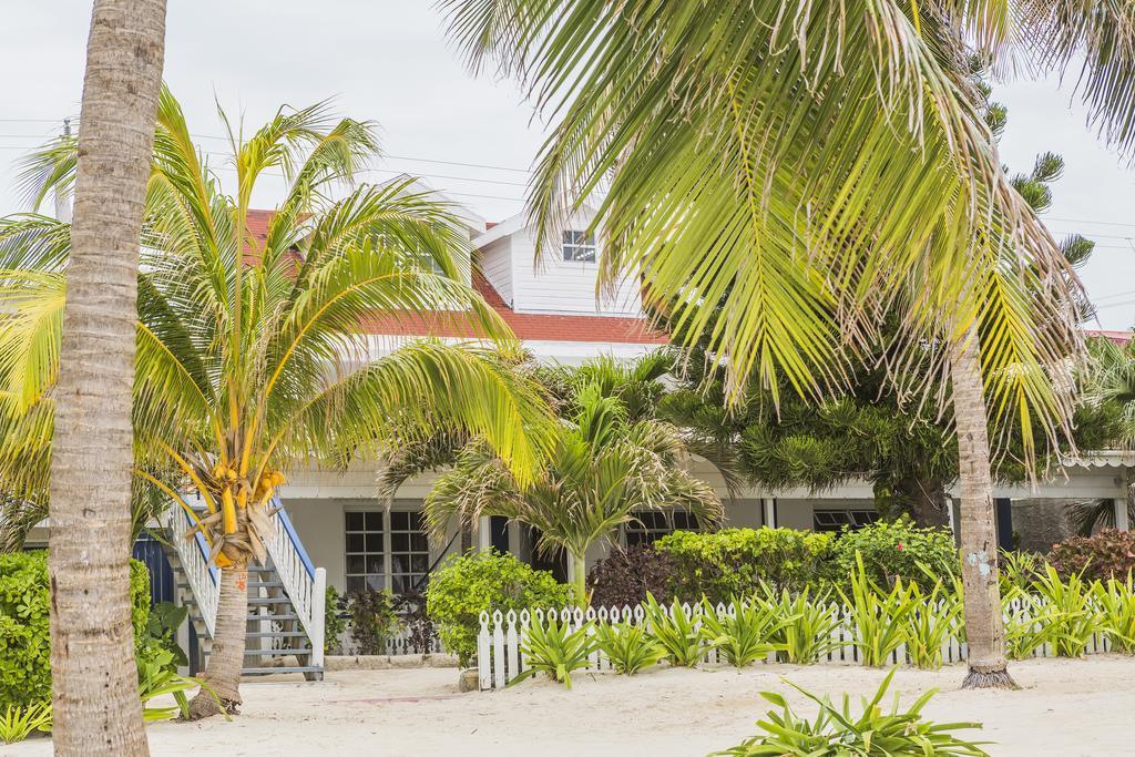 Casa Brisa Guest House San Pedro  Εξωτερικό φωτογραφία